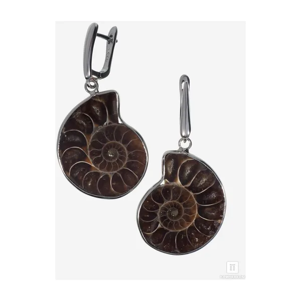 Серьги с аммонитом в оправе — арт. 18054