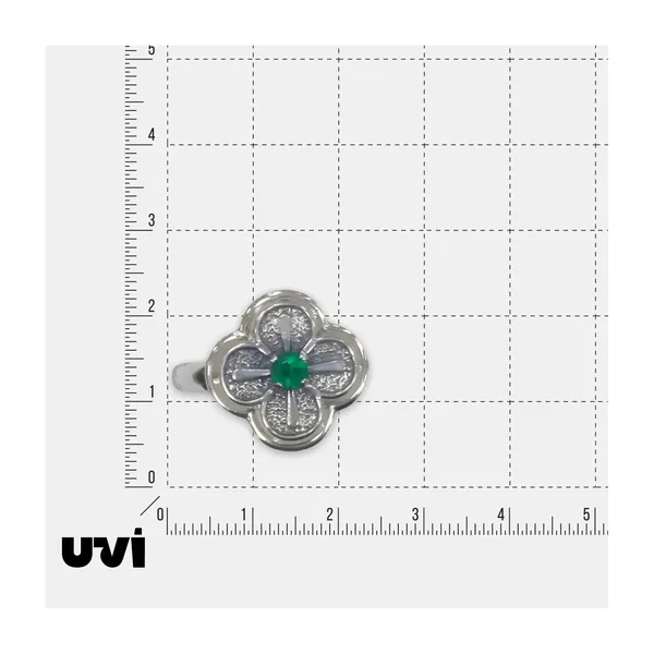 Серебряное кольцо с агатом «Не устраши бедой Господи» — арт. 10322-004720