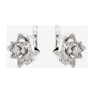 Акцентные серьги РИНГО — модель 5jg8477